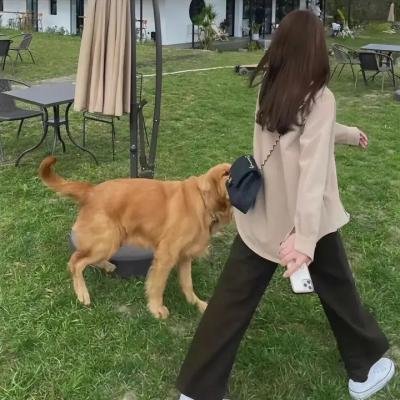 身份流亡