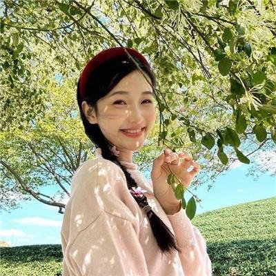 艾维奇的真实故事